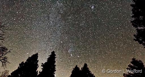 Starry Night_46236.jpg - Milky Way photographed near Lombardy, Ontario, Canada.